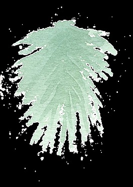 手繪簡(jiǎn)約松柏樹葉水彩透明素材