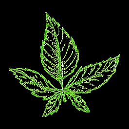 手繪綠葉透明蔬菜