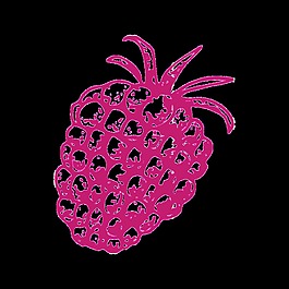 手繪菠蘿透明蔬菜