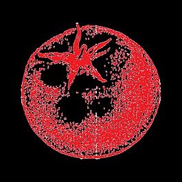 手繪西紅柿透明蔬菜