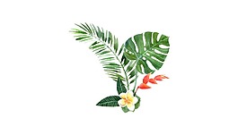 清新綠色葉子元素