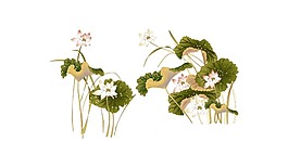 清新紫色花朵元素