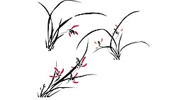 清新水草花朵元素