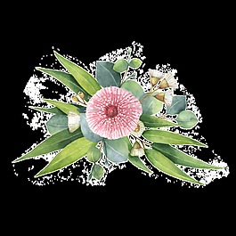 紅色鮮花簡約透明素材