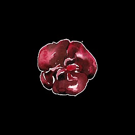 花朵水墨畫透明素材水彩