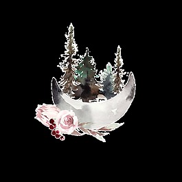 創(chuàng)意花朵設(shè)計透明素材水彩