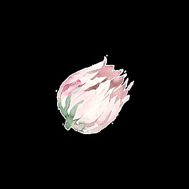 創(chuàng)意花朵設(shè)計透明素材水彩