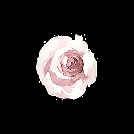 創(chuàng)意花朵透明素材水彩