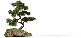 綠色迎客松png元素