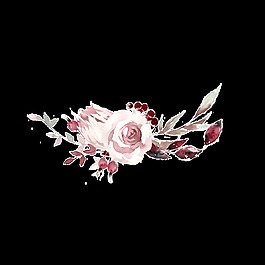 創(chuàng)意花卉透明素材水彩