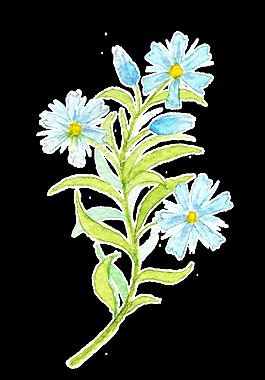 創(chuàng)意手繪花裝飾素材