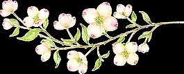 創(chuàng)意花朵裝飾素材