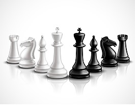 黑白國(guó)際象棋插畫