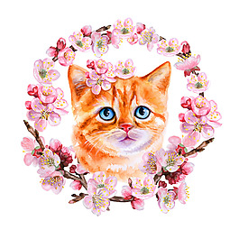 被桃花包围的小猫咪psd源文件