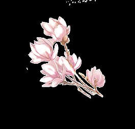 手绘粉色花朵水彩花朵透明