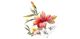 彩繪歐式粉紅花朵png元素