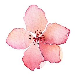 彩繪粉色桃花花朵png元素