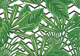 綠色葉子圖案背景ai矢量下載
