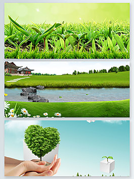 环境保护绿色小苗发芽展板背景