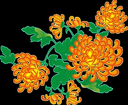 简约橙色花朵手绘菊花装饰元素