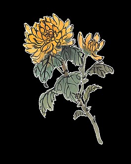 簡約黃色手繪菊花裝飾元素
