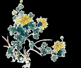 清新寫實(shí)風(fēng)格手繪菊花裝飾元素