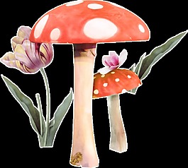 彩繪花朵蘑菇圖案元素