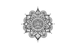 卡通黑色花朵png元素