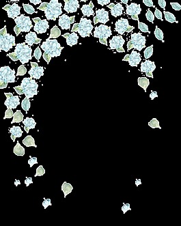 美麗的繡球花花卉透明素材png