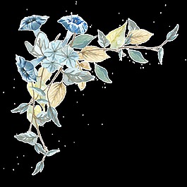 手繪藍(lán)色葉子花卉透明素材png