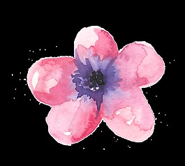 多莖銀蓮花透明素材png