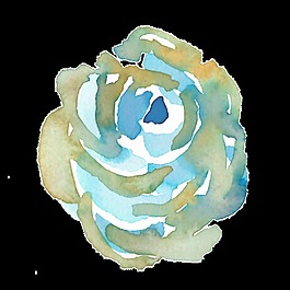 冷色小花卉透明素材png