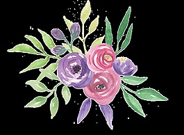 紫色玫瑰花卉透明素材png