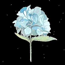 水蓝色绣球花透明素材png