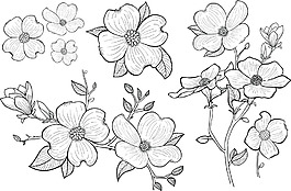 手绘桃花花卉素材