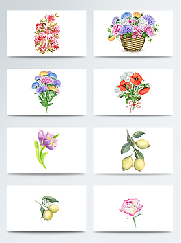 水彩彩色鮮花免扣素材合集