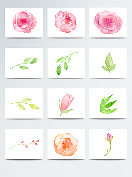 水彩簡約鮮花png素材合集