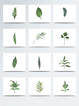 水彩綠色植物png素材合集