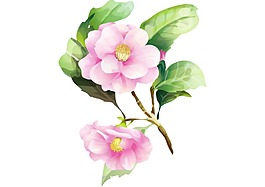 卡通粉色花朵png元素