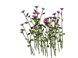 卡通紫色花朵植物png元素