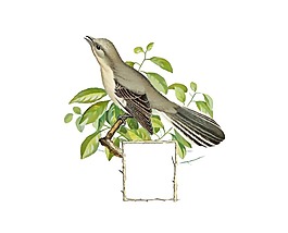 卡通小鸟绿叶png元素