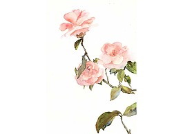 卡通粉色花朵png元素