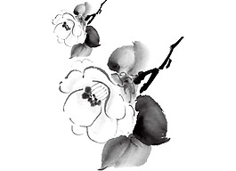 黑色手繪花朵png元素