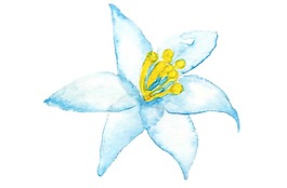 卡通蓝色花朵png元素