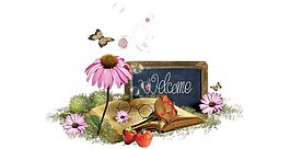 卡通鮮花書(shū)籍黑板png元素