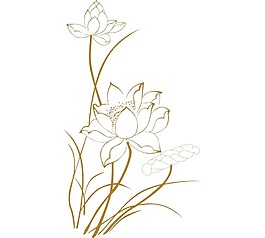 卡通白色荷花png元素