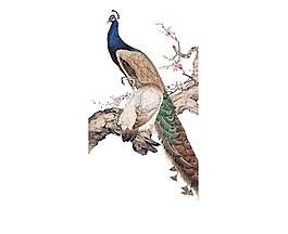 卡通枝頭孔雀png元素