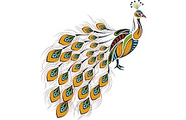 卡通黃藍(lán)色羽毛孔雀png元素