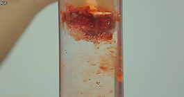 草莓擠壓果汁物理壓榨果汁