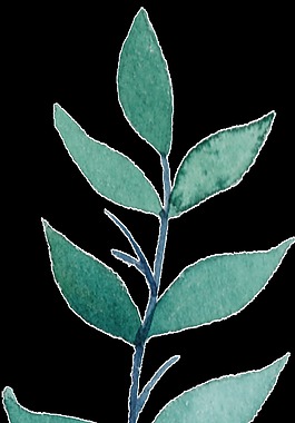 藍綠色樹葉免扣透明素材